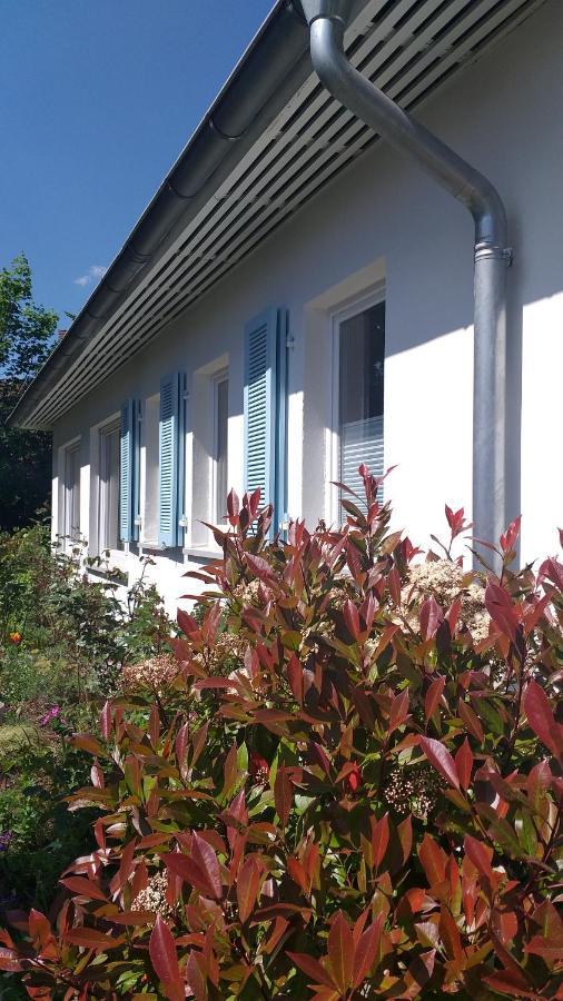 Gartenchalet Rotkehlchen Bad Homburg vor der Höhe Exterior foto
